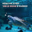 종로-종로-종로-종-135 이미지