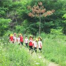 석성숲유치원 이미지