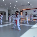 프리미어 스포츠 송정태권도 네이버블로그