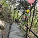 청산약초