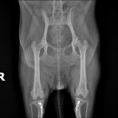 튼튼동물의료센터 이미지