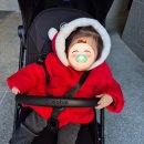 청라여성병원 | [출산] 인천 청라여성병원 제왕절개 둘째 출산 후기(비용 포함)