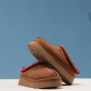 어그어스 | UGG 타즈 후기 I 어그 스티치 칼라 플랫폼 슬리퍼(타즈) 240 체스넛 (feat. 사이즈팁)