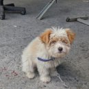 산여울농장 이미지