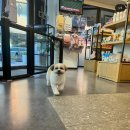 동중농장 이미지