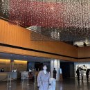 마롱글라쎄 이미지