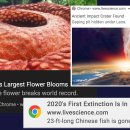 TI FITNESS 이미지