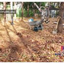 오금1로 이미지