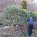 기우농장 이미지