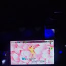 보스게임랜드 이미지