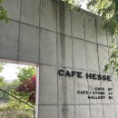 (주) 한반독 | 애견동반 5월에 가기좋은 카페추천 서울근교 드라이브코스 1만평부지 헤세의정원 +네이처독 내돈내산 후기