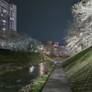 남구-098 이미지