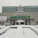 수원-1949 이미지