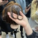 수현헤어샾