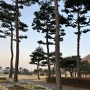 서원밸리cc 라운딩 후기(2025년 1번째 라운딩)