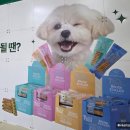 덴탈메인 이미지