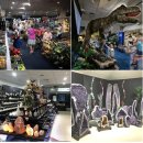 공룡감자탕 | 🇦🇺 캔버라 가족여행 Day 4 | National Dinosaur Museum 공룡박물관 후기, 아이와 가볼만한 곳