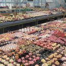 김재근농장 이미지