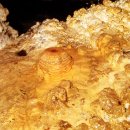 제주 한림 용암동굴지대 이미지