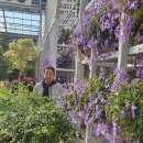 명화당 | 당진운세 삶의 방향을 찾아준 명화당 사주 상담 후기