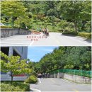 황부자 며느리 친정가는 둘레길 | 상장동 벽화마을' 탐방,본적산(856.4m) 산행및 황부자 며느리 친정가는 둘레길~O2리조트 산책로 트레킹