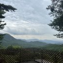 아리아리 숲속의 야영장 이미지