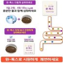 큐사랑 염색방