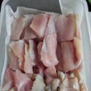 대인홍어 이미지