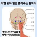 공주피부