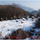 가루개농장 이미지