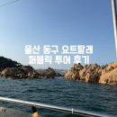 요트탈래 | 울산데이트코스 요트탈래 / 요트탈래 울산 퍼블릭투어 후기