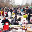 YMCA 녹색장터 이미지