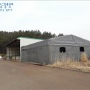 포항시북구13 이미지