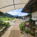 춘전목장 이미지