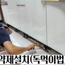 도다닥 이미지