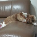 채연농장 이미지