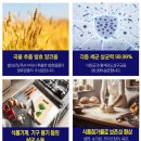(주)우리바이오 | 소주 청소 안되는 이유? 소독제 스프레이 진로 바이오크린콜 자세한 활용법 내돈후기!