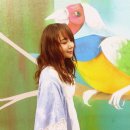 십이율악회 | 의정부음악도서관, 7월 ‘십이율악회’ 보사노바 강연 개최