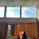 다방물볕 이미지