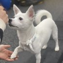 독트레이닝온 이미지