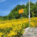 율하천자전거길 이미지