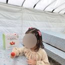 응골농장 이미지