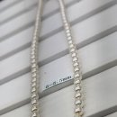 유일광택 이미지