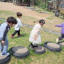 난향동-8 이미지