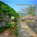 물소리바람소리 이미지