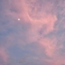 산아래펜션 | [밀양] 부산근교 촌캉스 산아래 독채펜션 솔직후기 (+솥뚜껑 바베큐)