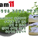 진크리닝