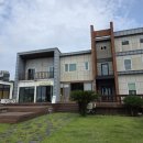 제주늘보의오후 이미지