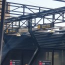 삼천포셀세모 이미지