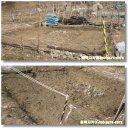 백현 농장 이미지